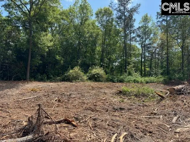 2450 Alpine Road, Columbia, SC 29223 - #2