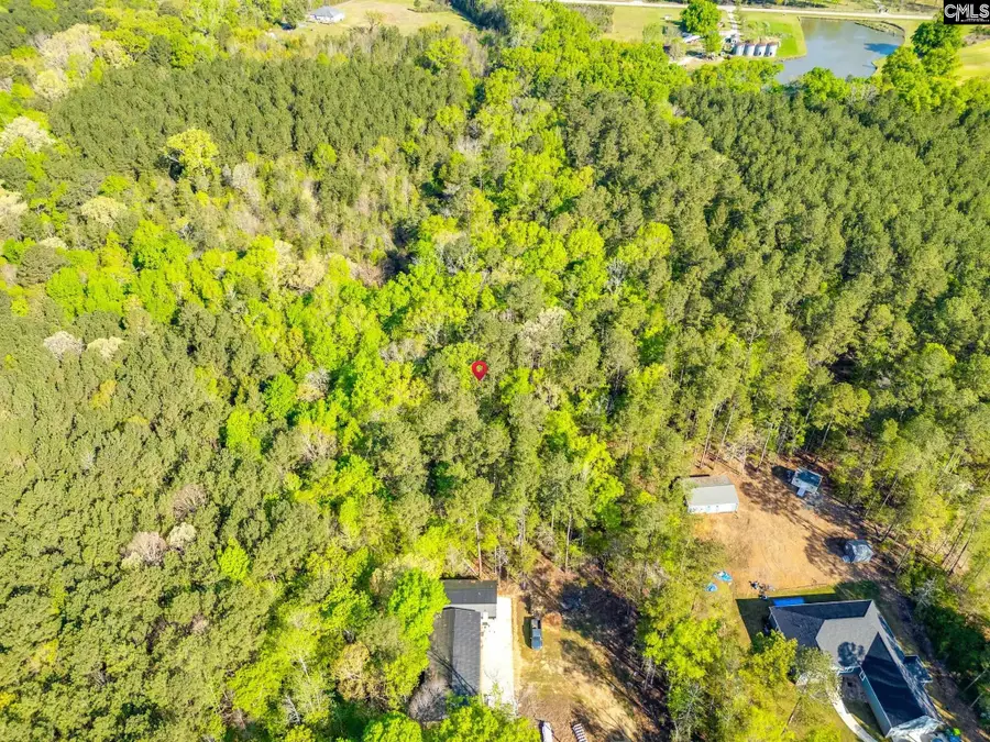 1103 Hopewell Church Road, Irmo, SC 29063 - #2