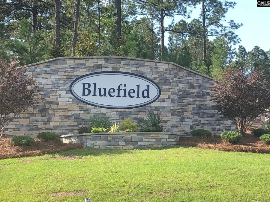 3699 Stedding Place, Lexington, SC 29073 - #2