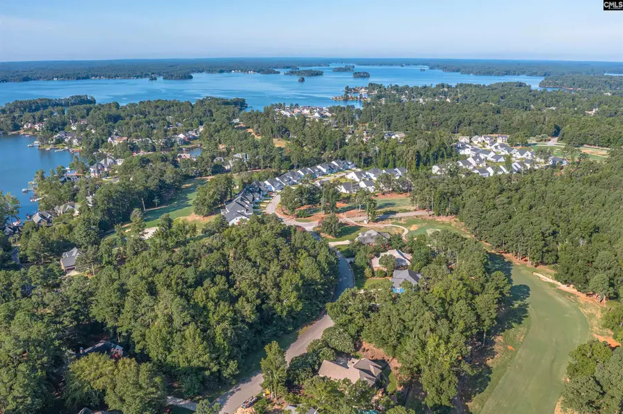 118 Lake Summit Drive, Chapin, SC 29036 - #3