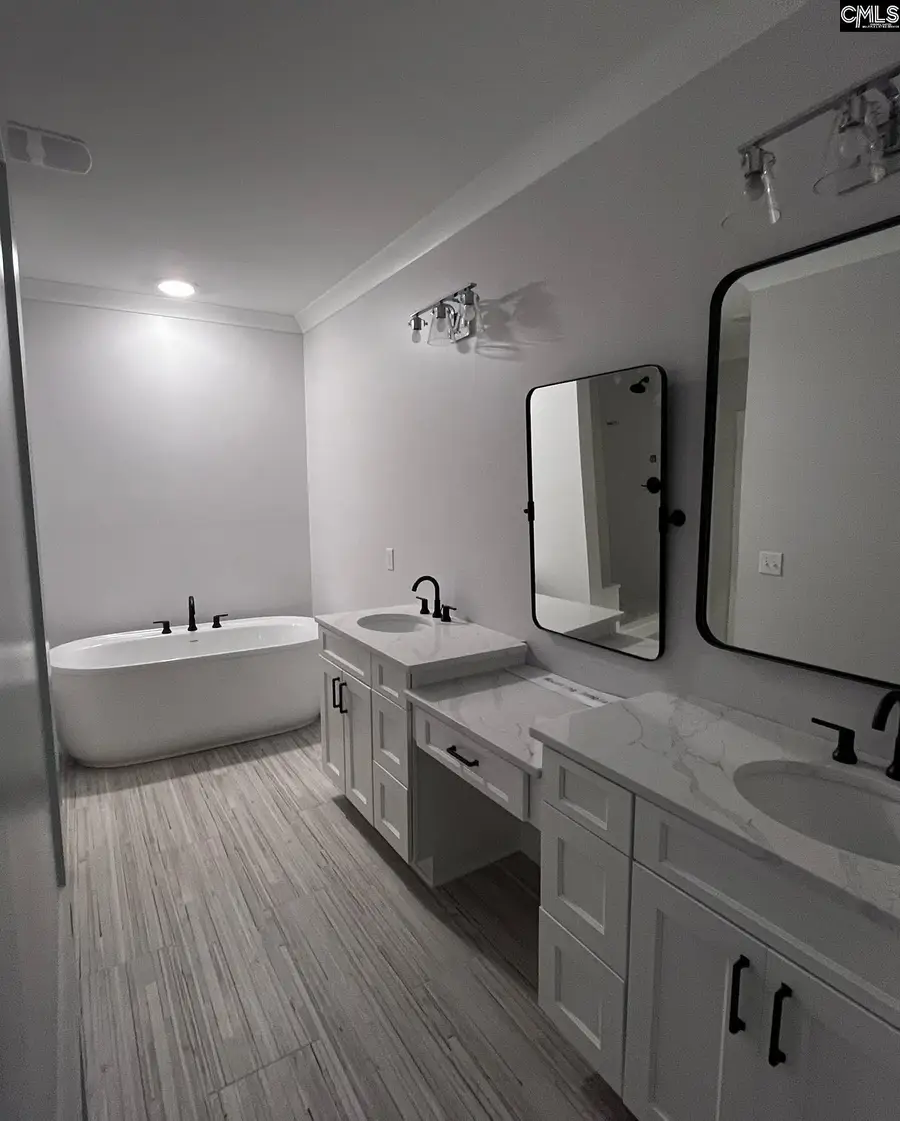 437 Amicks Ferry Road, Chapin, SC 29036 - #3