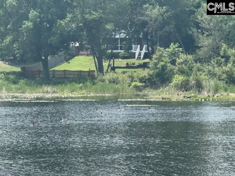 Mossborough Drive, Oak Grove, SC 29073 - #2