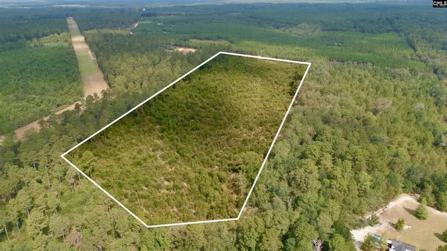 Poinsettia Road, Wagener, SC 29164 - #2