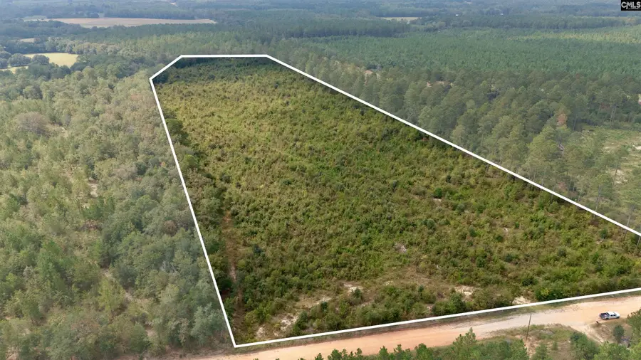 Poinsettia Road, Wagener, SC 29164 - #3