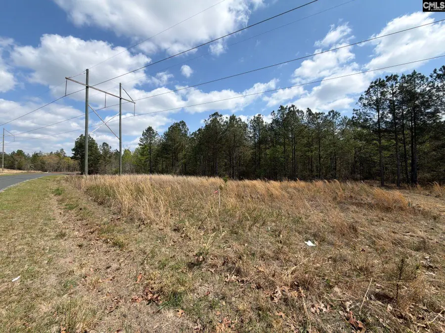 CVA 2 Mt. Calvary Road #CVA 2, Ridge Spring, SC 29129 - #3