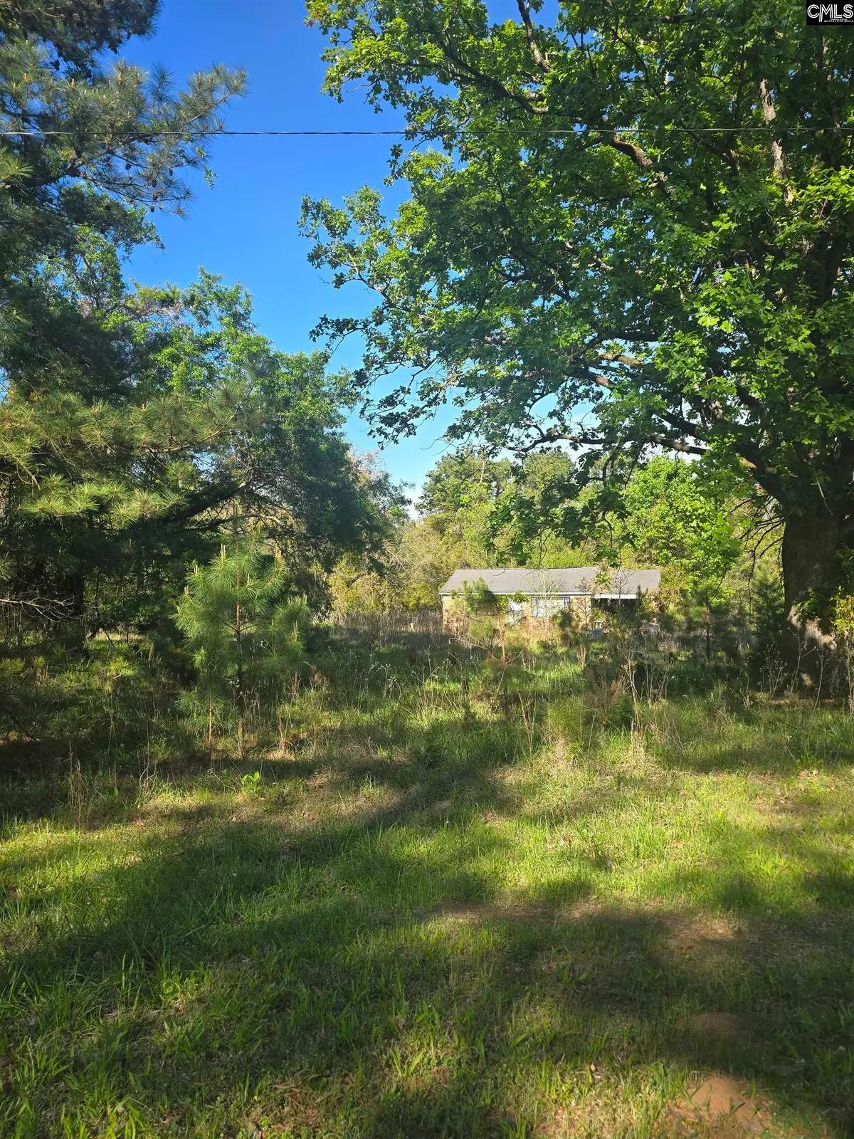 0000 St Barnabas Church Road, Jenkinsville, SC 29065 - #1