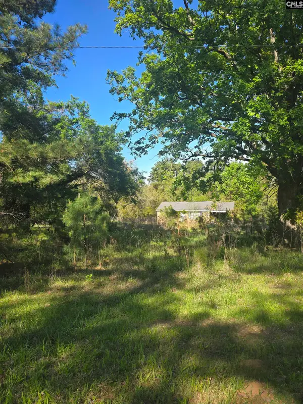 0000 St Barnabas Church Road, Jenkinsville, SC 29065