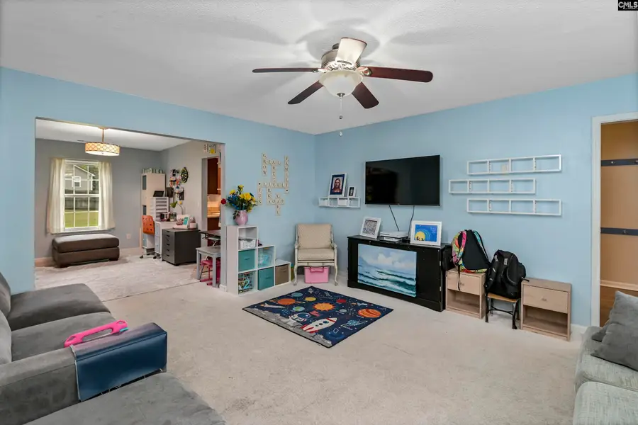 116 Wingspan Way, Chapin, SC 29036 - #3