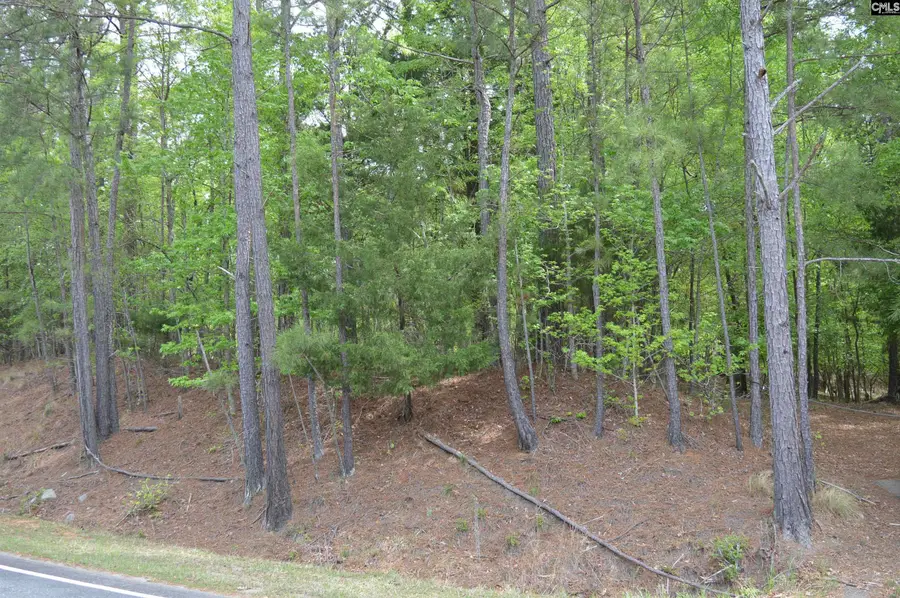 978 Rolling Hills Road, Ridgeway, SC 29130 - #3