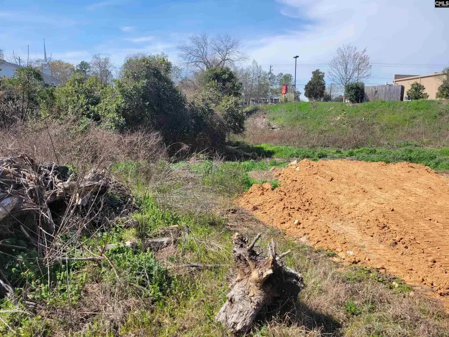 E/s Tremont Avenue, Columbia, SC 29203 - #2