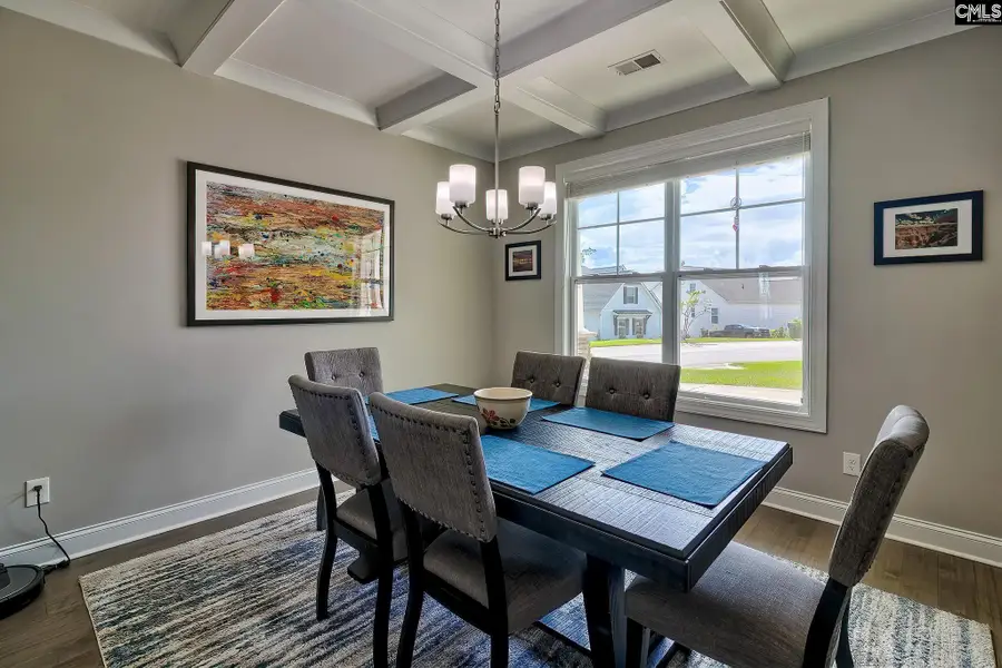 124 Bowyer Lane, Chapin, SC 29036 - #3