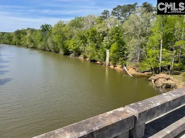 Lot 2 Highway 121, Silverstreet, SC 29145 - #1