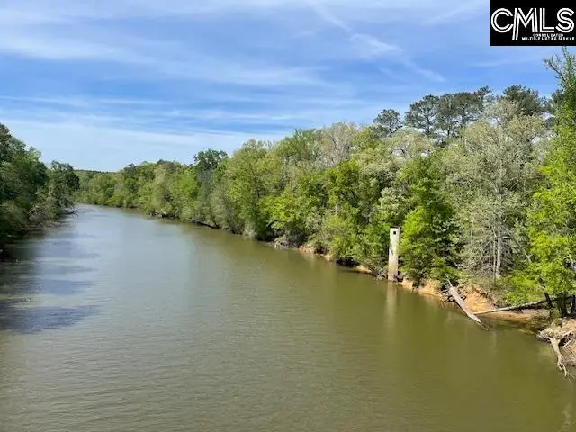Lot 1 Highway 121, Silverstreet, SC 29145 - #1