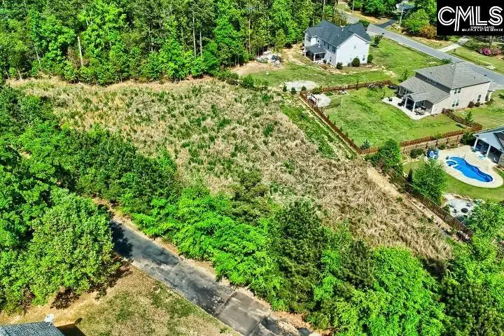 109 Carrituck Court, Chapin, SC 29036 - #1