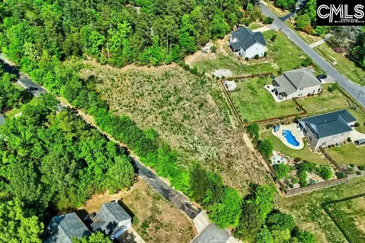 109 Carrituck Court, Chapin, SC 29036 - #3