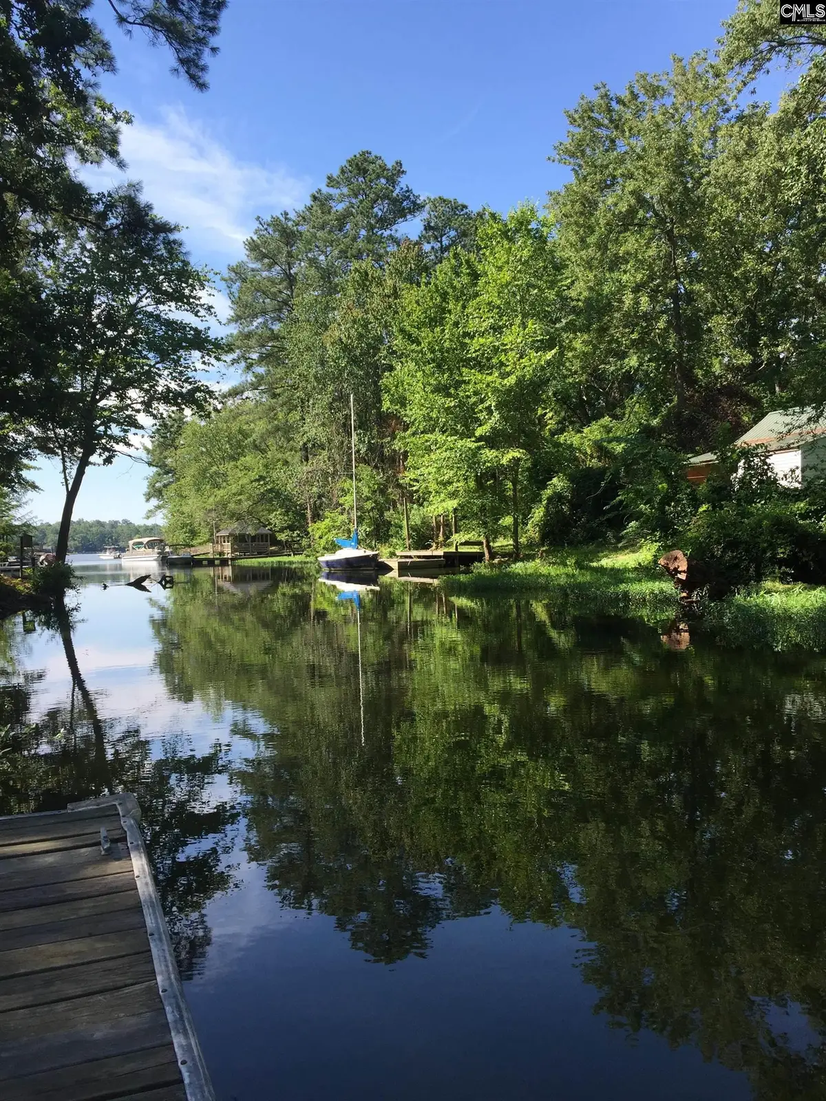 1008 Jones Road, Irmo, SC 29063 - #1