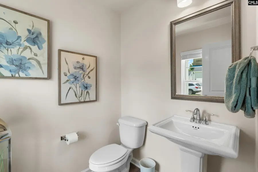 173 Calm Citadel Drive, Pelion, SC 29123 - #3