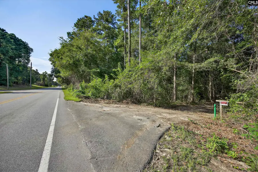 0 Juniper Springs Road #PARCEL A, Gilbert, SC 29054 - #3