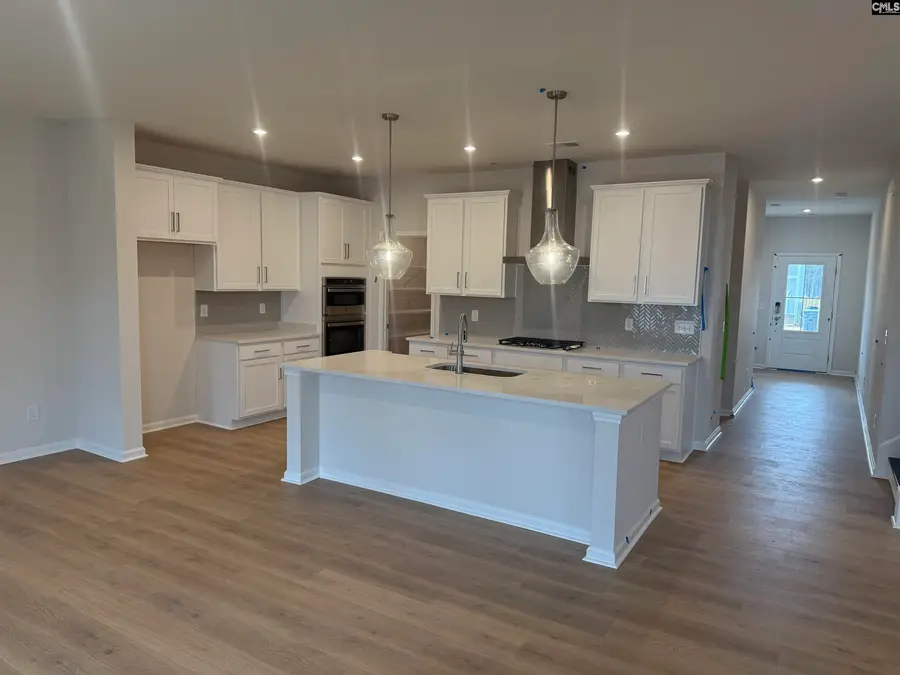 372 Chapin Place Way, Chapin, SC 29036 - #2