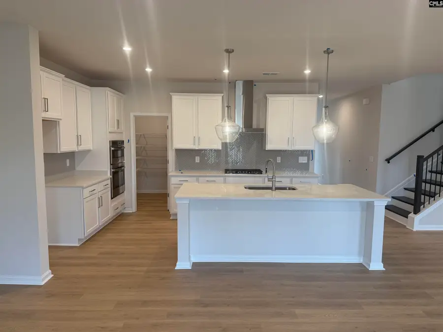 372 Chapin Place Way, Chapin, SC 29036 - #3