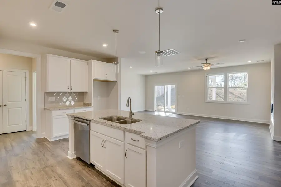 605 Basalt Court, Chapin, SC 29036 - #2