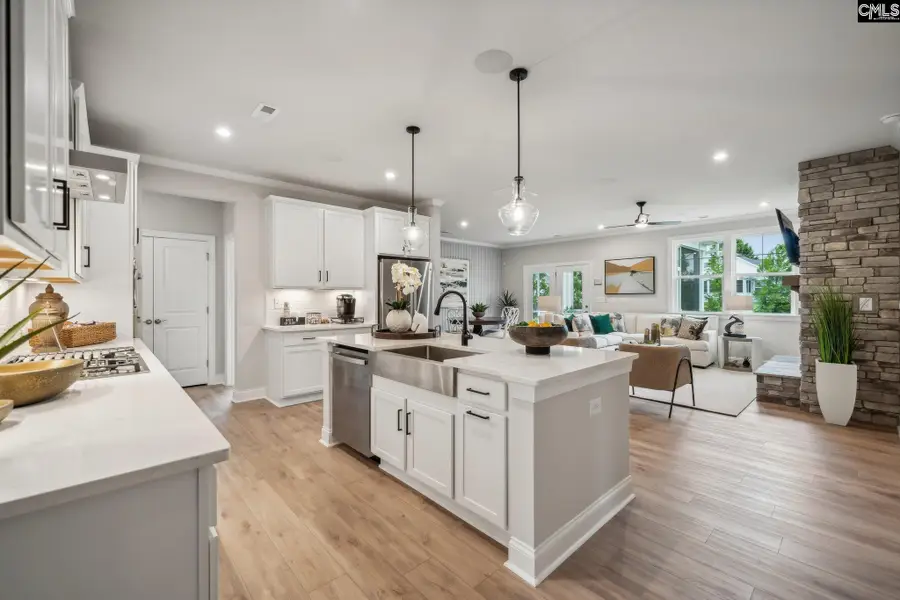 704 Feldspar Court, Chapin, SC 29036 - #2