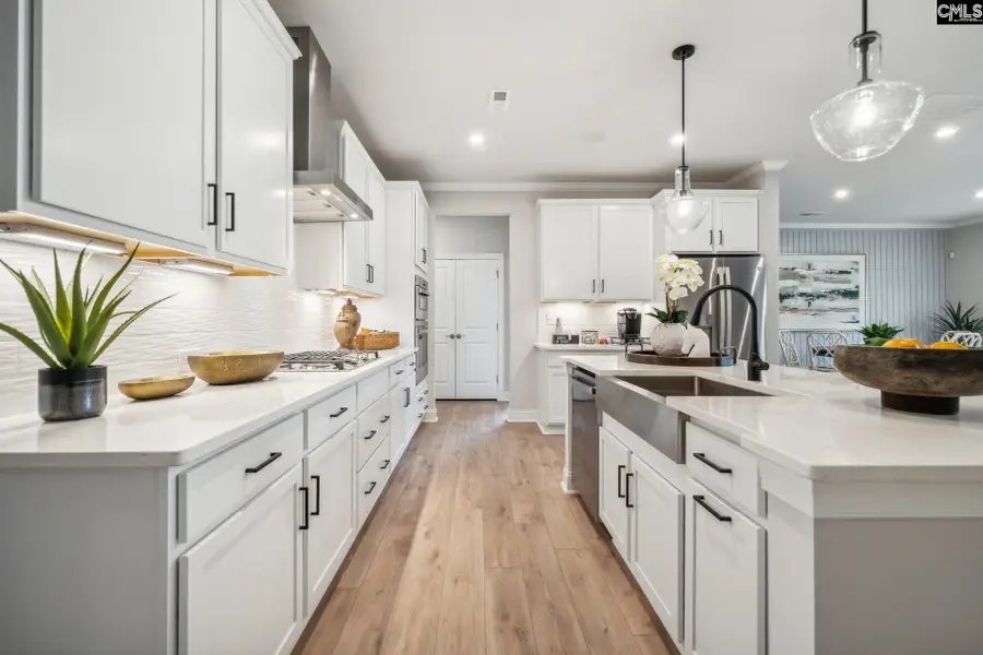 712 Feldspar Court, Chapin, SC 29036 - #3