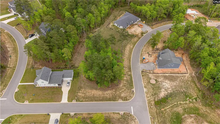 1005 Refuge Place, Chapin, SC 29036 - #2