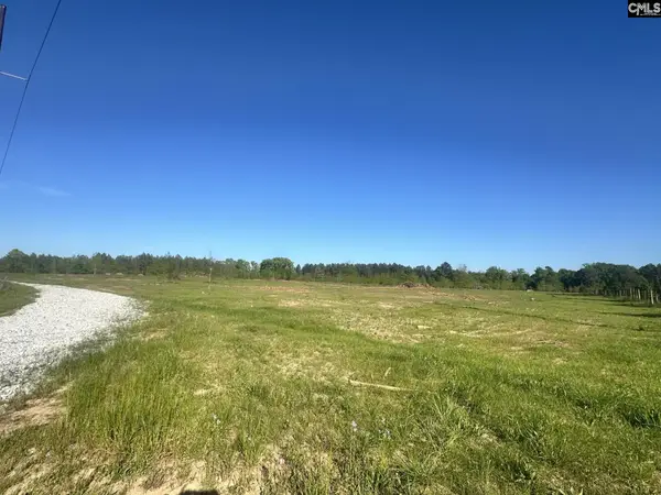 0 Livingston Road, Pomaria, SC 29126