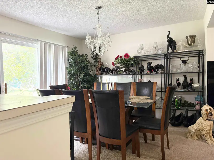 4046 W Fairmeadow Drive, Lancaster, SC 29720 - #2