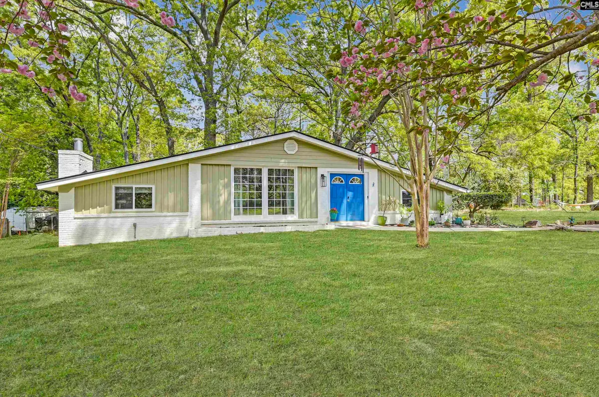 2305 Johnson Marina Road, Chapin, SC 29036 - #1