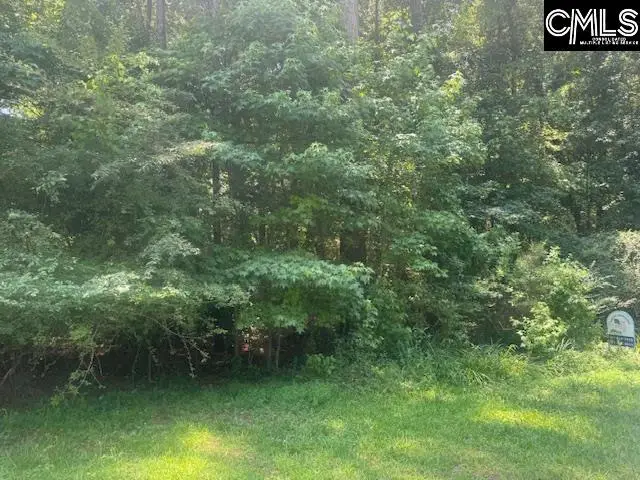 0 South Circle Drive, Orangeburg, SC 29118 - #1