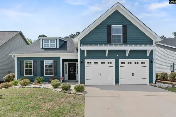 432 Sapphire Lane, Chapin, SC 29036