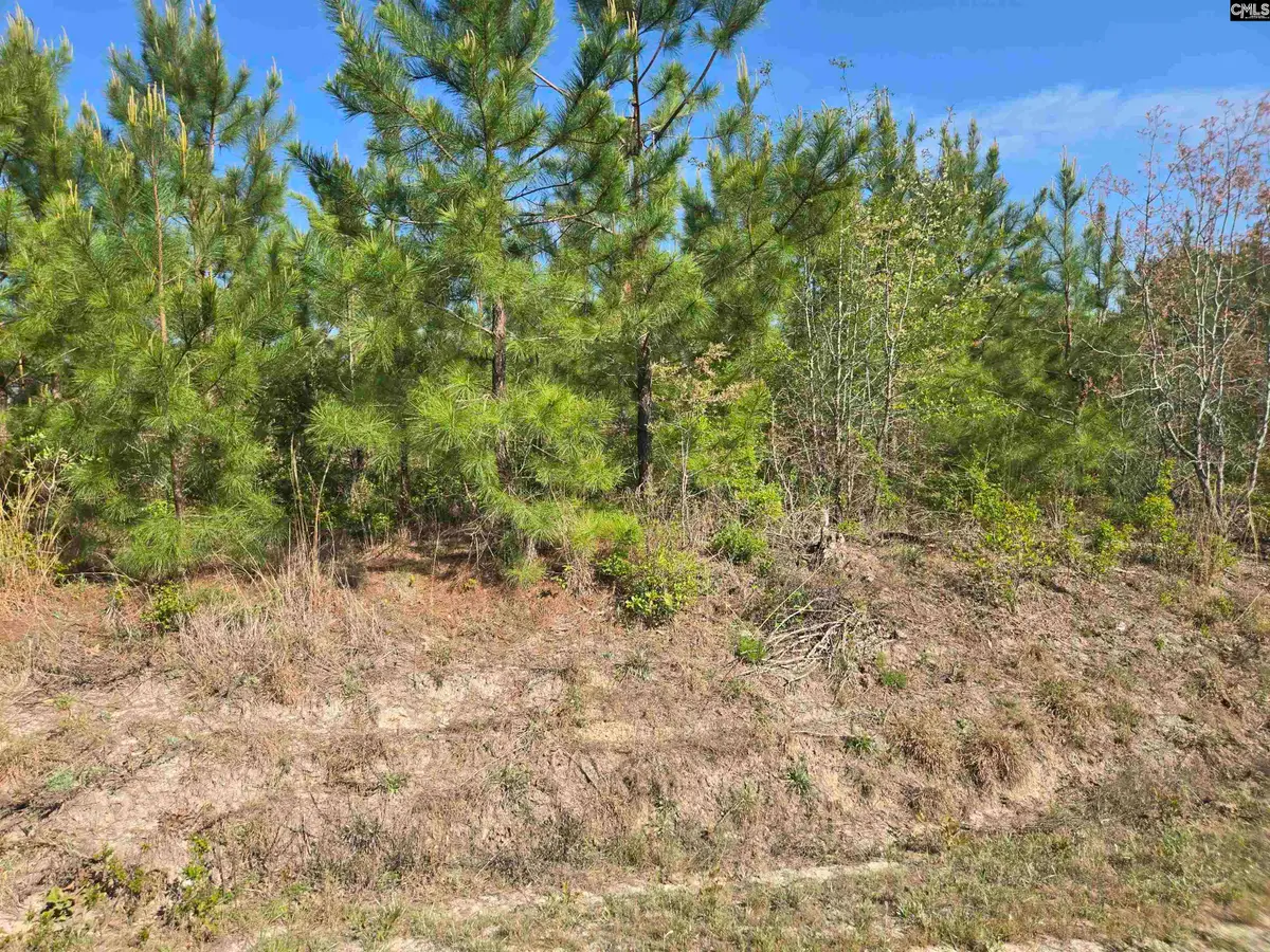 952 Mt Zion Road, Camden, SC 29020 - #1