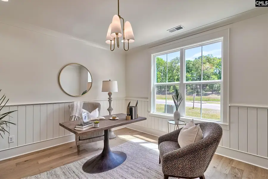 912 Salisbury Court, Chapin, SC 29036 - #3