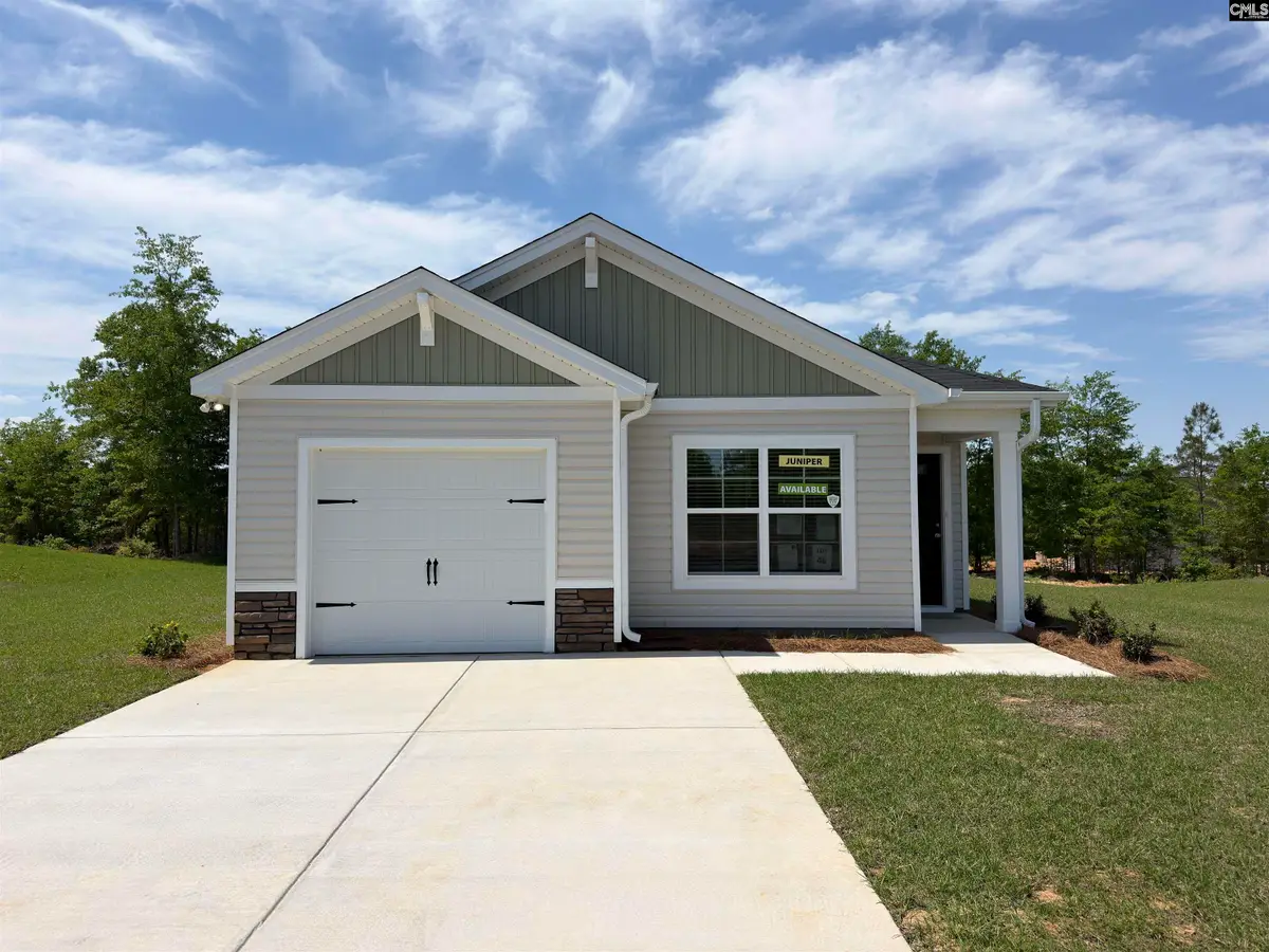 185 Calm Citadel Drive, Pelion, SC 29123 - #1