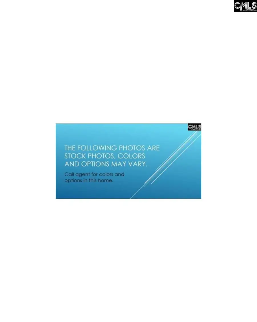 171 Schneider Lane, Lexington, SC 29072 - #2