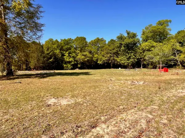 0 Shadow Lane, Wagener, SC 29164