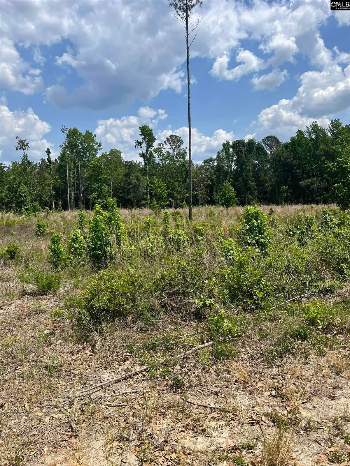 446 Marsh Road, Islandton, SC 29929 - #1