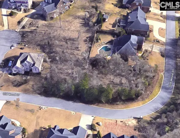 338 Old Wood Drive, Columbia, SC 29212