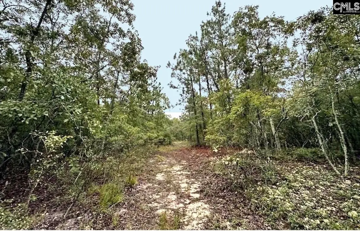 0 Fallaw Road, Gaston, SC 29053 - #1