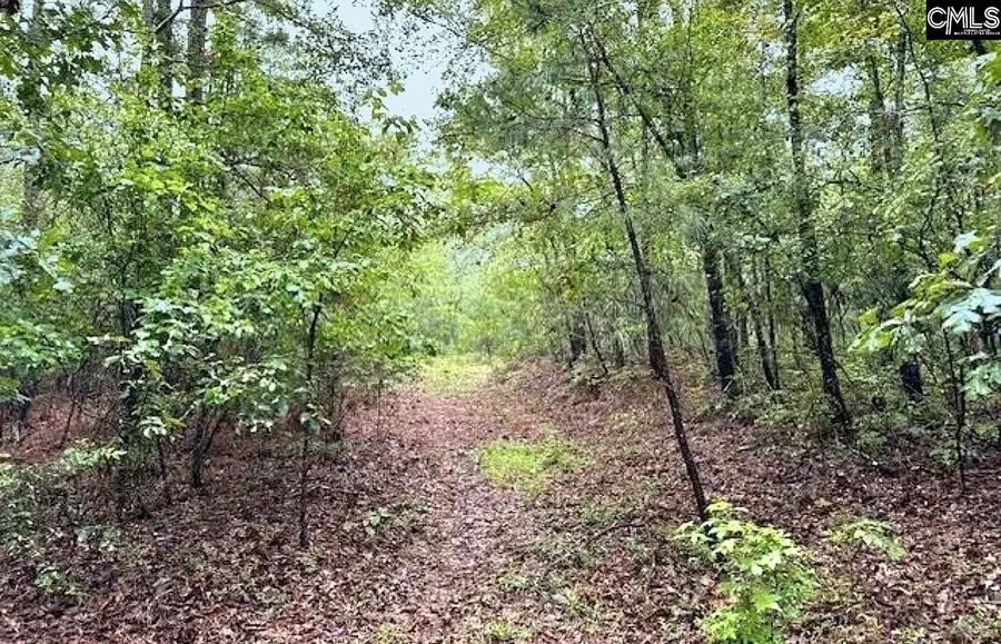 0 Fallaw Road, Gaston, SC 29053 - #2