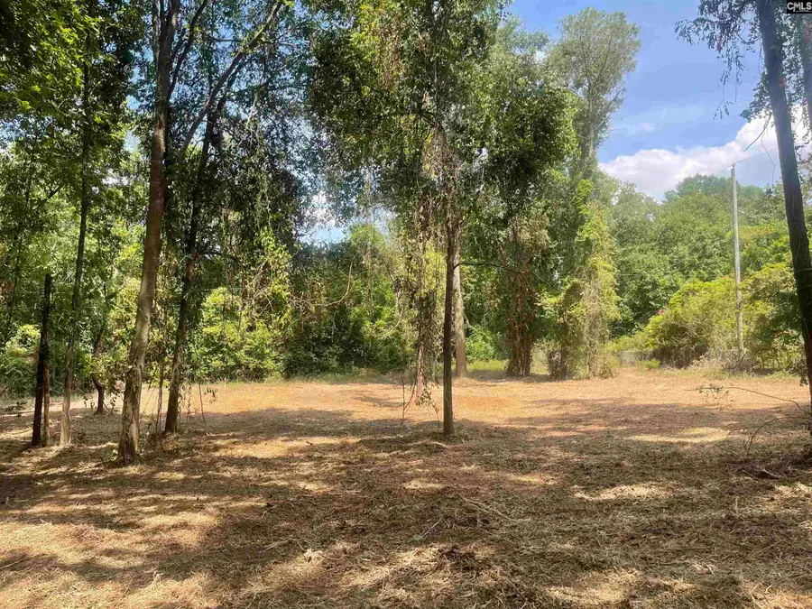 2 Blue Ridge Terrace, West Columbia, SC 29170 - #2