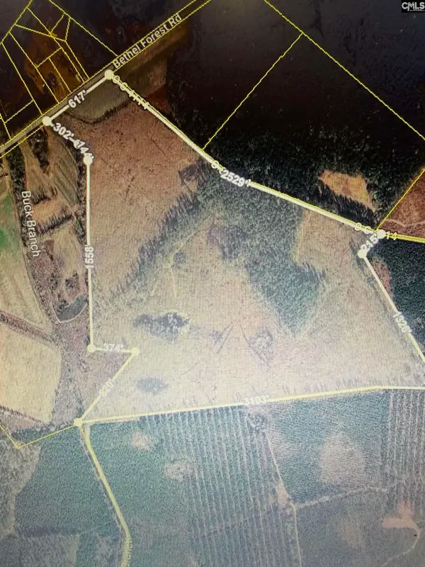 1725 Bethel Forest Road, Rowesville, SC 29133