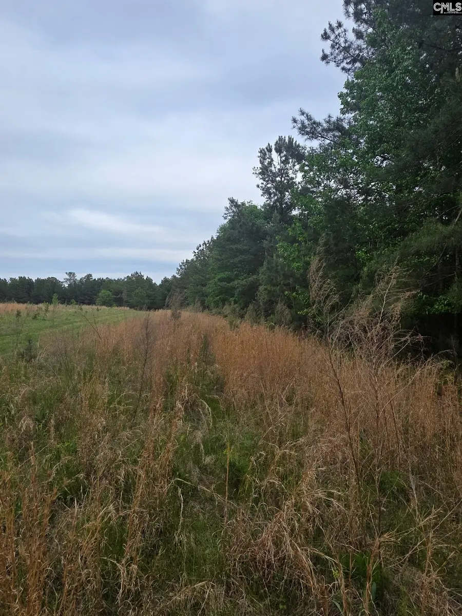 0 Syrup Mill Road, Winnsboro, SC 29180 - #2