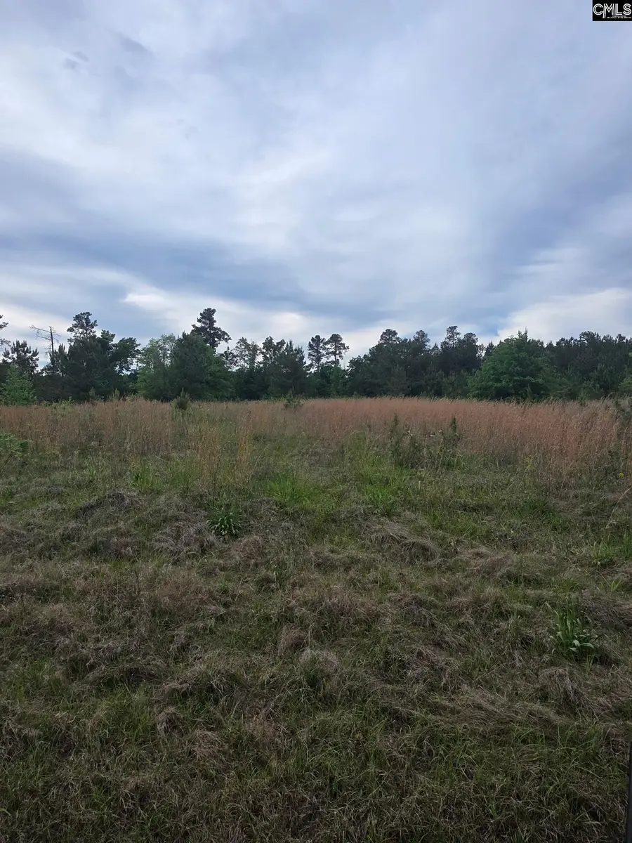 0 Syrup Mill Road, Winnsboro, SC 29180 - #3