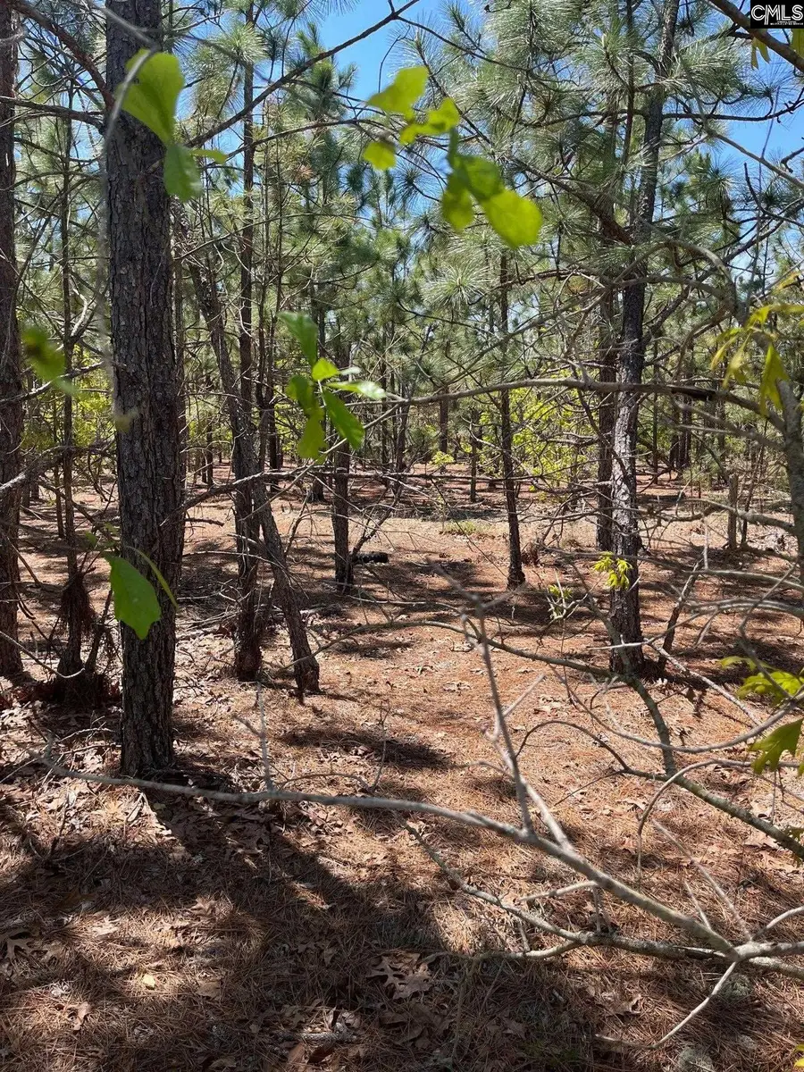 BDF 1 Beaverdam Road, Cassatt, SC 29032 - #3