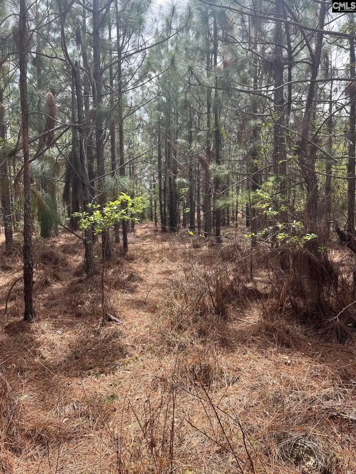 BDF 3 Beaverdam Road, Cassatt, SC 29032 - #1