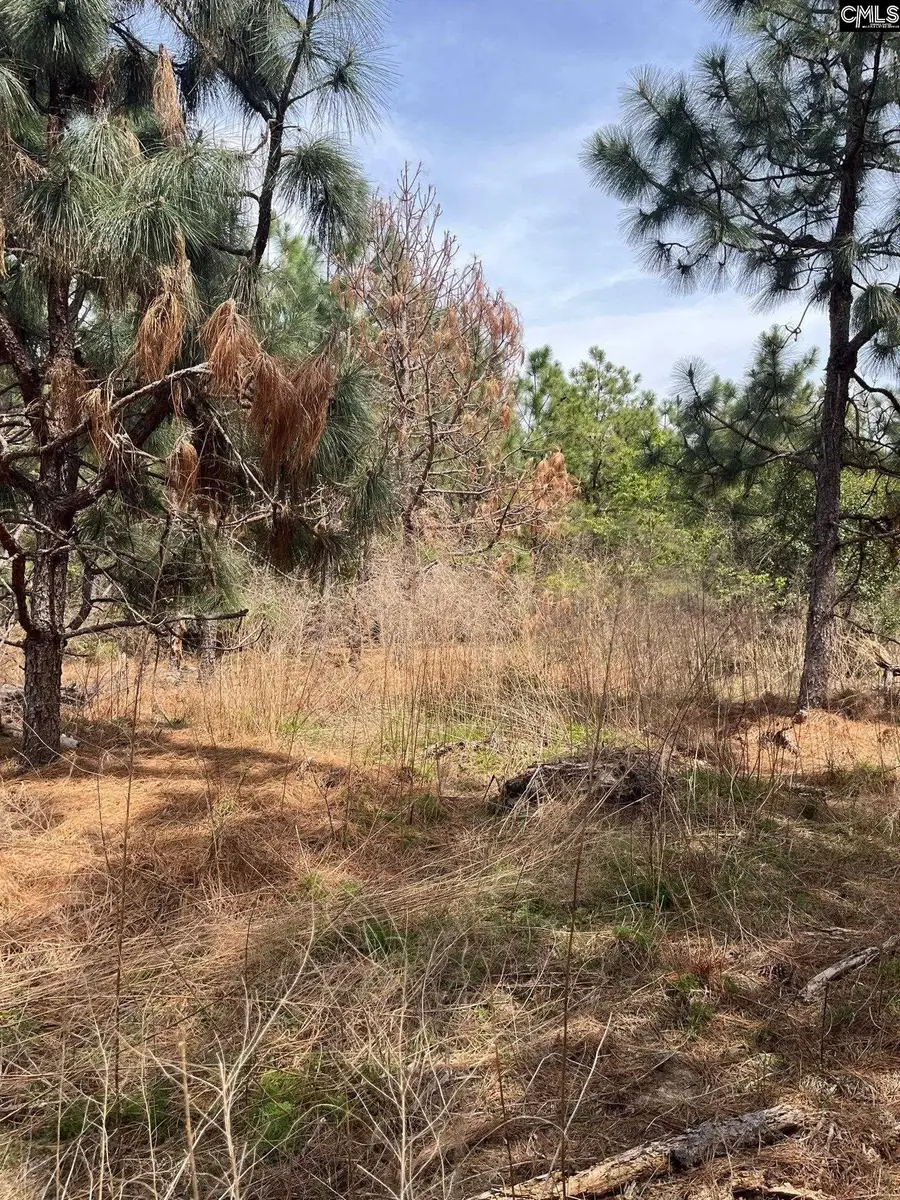 BDF 5 Beaverdam Road, Cassatt, SC 29032 - #3