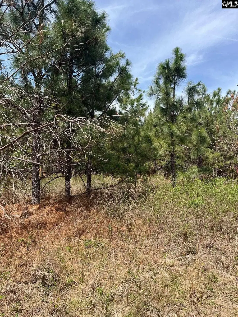 BDF 6 Beaverdam Road, Cassatt, SC 29032 - #2